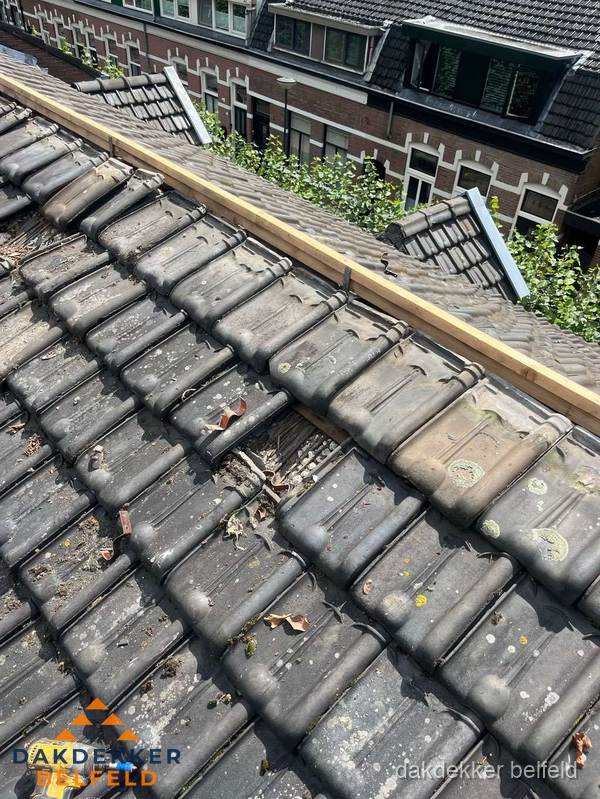 Dakonderhoud aan schuin pannendak met nokvernieuwing in Belfeld