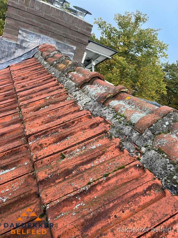 Verweerd hellend dak met mosgroei op nokvorst in Belfeld Verweerd hellend dak met mosgroei op nokvorst in Belfeld